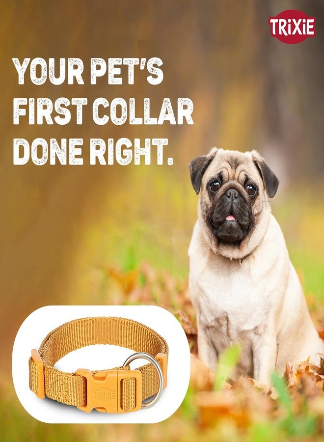 تريكسي طوق تريكسي المميز - طوق كلاب من النايلون قابل للتعديل ومتين، مريح، مزود بإبزيم قوي، خفيف الوزن وأنيق، مناسب للسلالات الصغيرة والجراء بمقاس XS-S (كاري) - Image 3